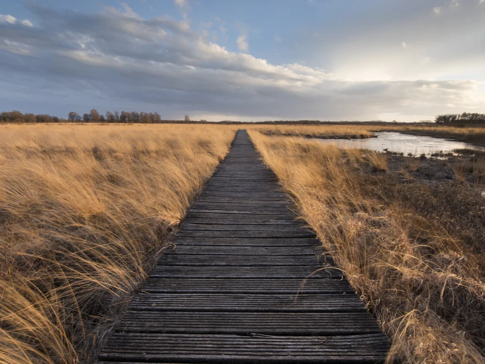 Het hoogveen ten zuidoosten van het dorp