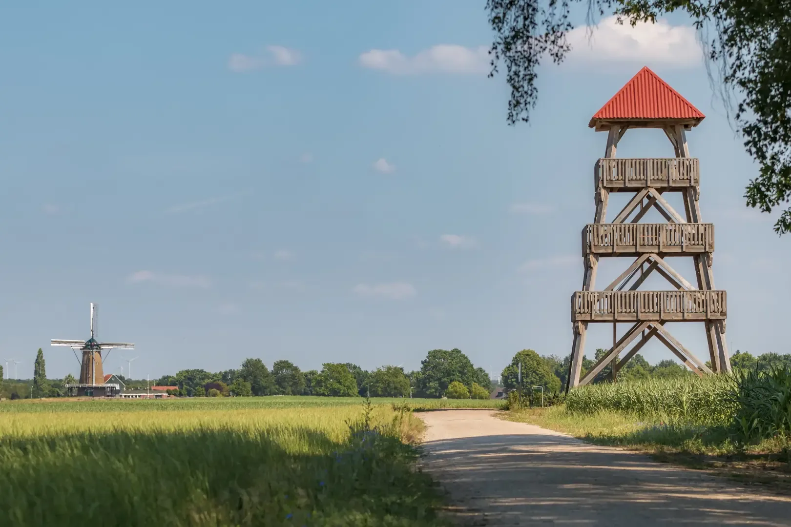 De Needse Berg: toren en molen
